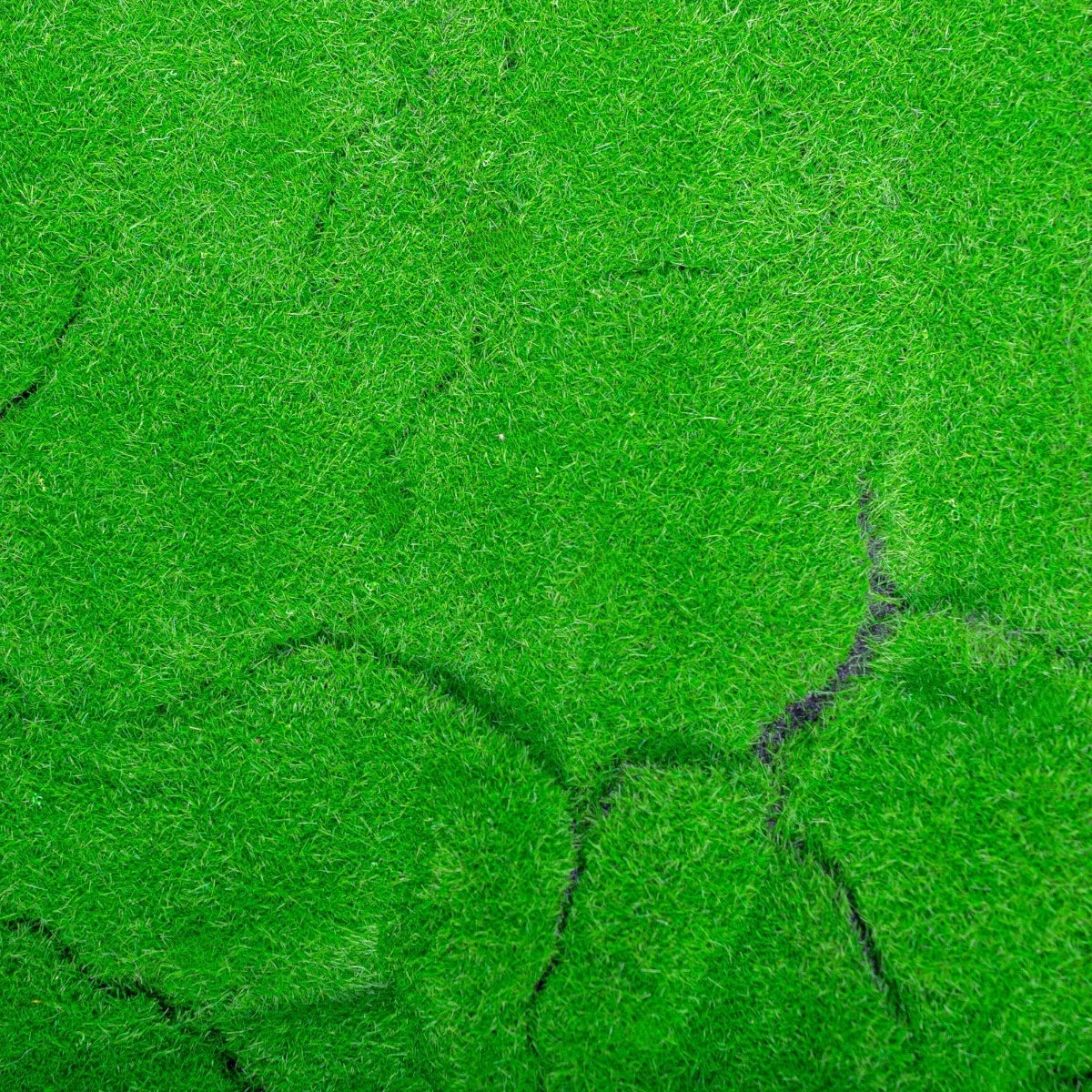 Covor muschi artificial de padure, Naimeed D6540, pentru decorare interioara sau exterioara, Verde, 1000x1000x20mm