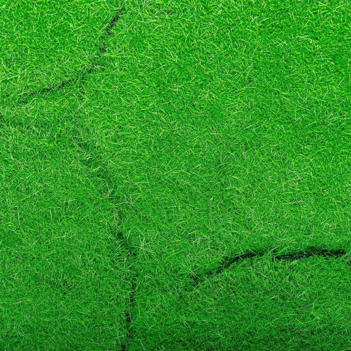 Covor muschi artificial de padure, Naimeed D6540, pentru decorare interioara sau exterioara, Verde, 1000x1000x20mm