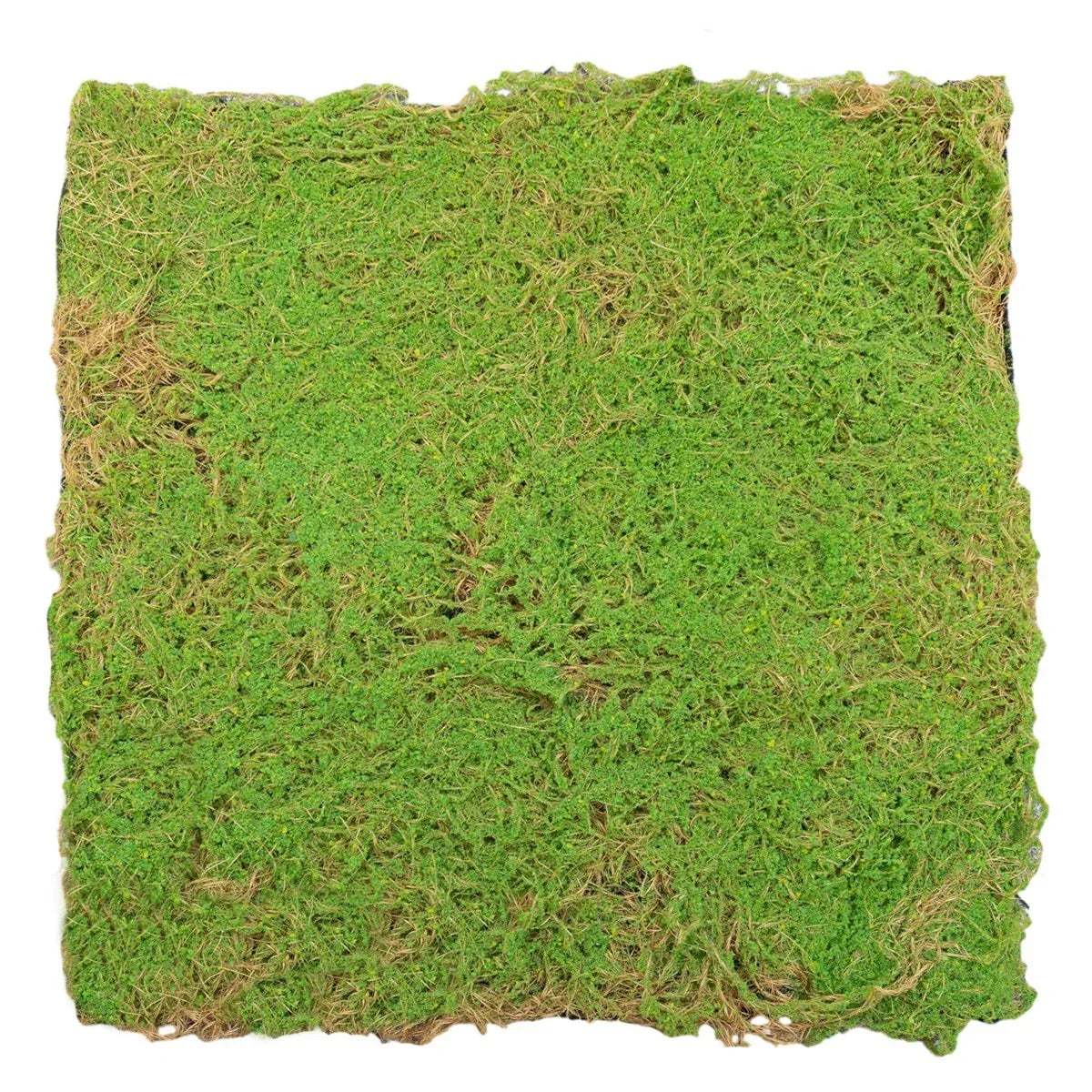Covor muschi artificial de padure, Naimeed D6541, pentru decorare interioara sau exterioara, Verde, 1000x1000x20mm