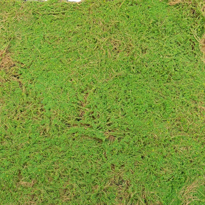 Covor muschi artificial de padure, Naimeed D6541, pentru decorare interioara sau exterioara, Verde, 1000x1000x20mm
