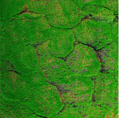 Covor muschi artificial de padure, Naimeed D6542, pentru decorare interioara sau exterioara, Verde, 1000x1000x20mm