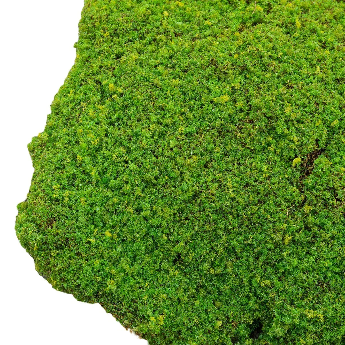 Set 3 muschi artificial de padure, Naimeed D6549, pentru decorare interioara sau exterioara, Verde, 50x3.5cm; 40x3.5cm; 30x3.5cm