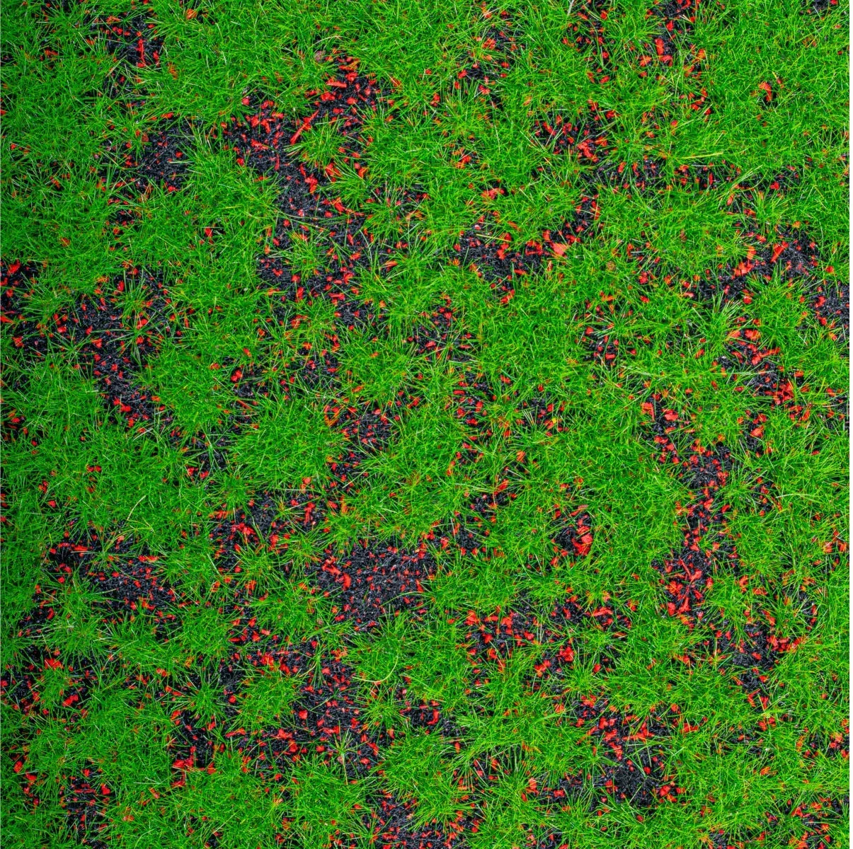 Covor muschi artificial de padure, Naimeed D6553, pentru decorare interioara sau exterioara, Verde, 1000x1000x20mm