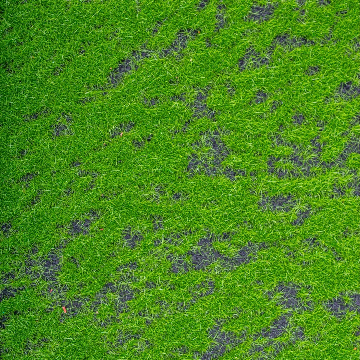 Covor muschi artificial de padure, Naimeed D6554, pentru decorare interioara sau exterioara, Verde, 1000x1000x10mm