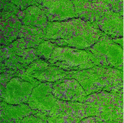 Covor muschi artificial de padure, Naimeed D6556, pentru decorare interioara sau exterioara, Verde, 1000x2000x30mm