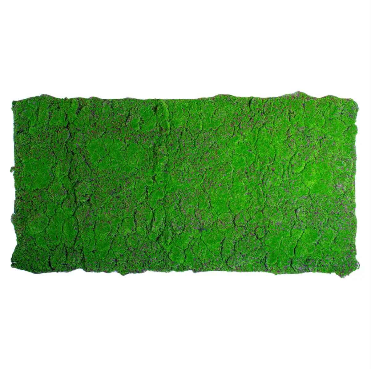 Covor muschi artificial de padure, Naimeed D6556, pentru decorare interioara sau exterioara, Verde, 1000x2000x30mm
