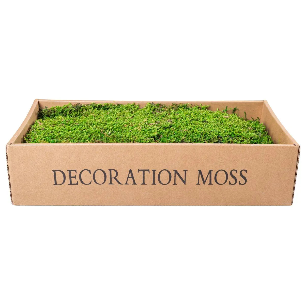 Muschi Premium naturali, stabilizati, Naimeed D6558, pentru decoratiuni hand made, biodegradabili