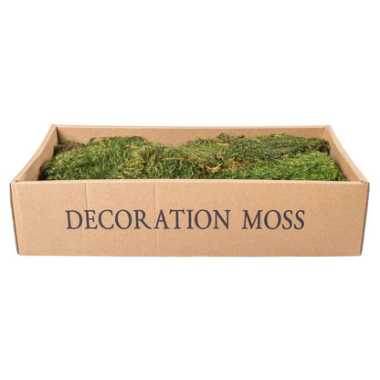Muschi Premium naturali, stabilizati, Naimeed D6560, pentru decoratiuni hand made, biodegradabili