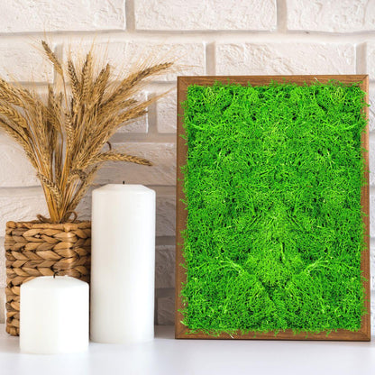 Licheni Premium naturali, stabilizati, Naimeed D6561, pentru decoratiuni hand made, biodegradabili, 500g