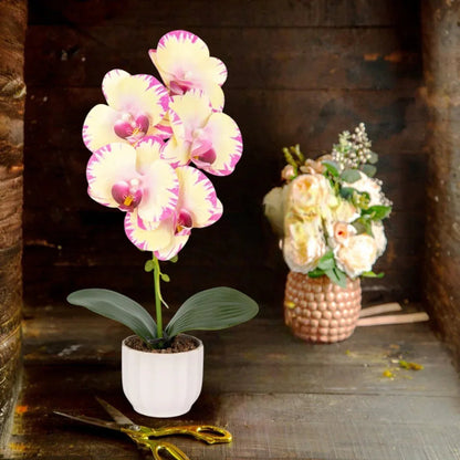 Orhidee cu aspect natural in ghiveci ceramic, 42 cm, Naimeed D6881, Galben pal
