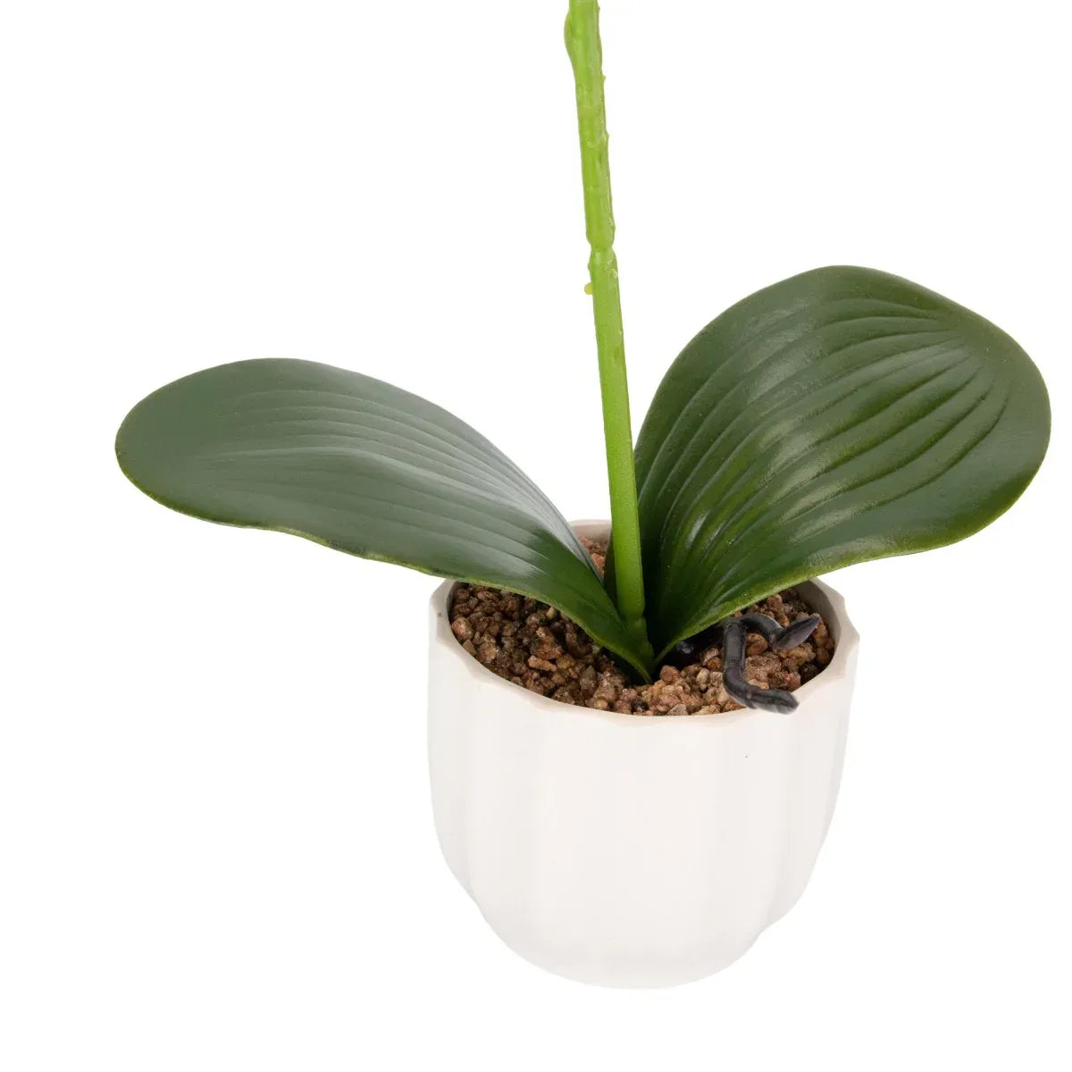 Orhidee cu aspect natural in ghiveci ceramic, 42 cm, Naimeed D6881, Galben pal