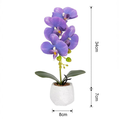 Orhidee cu aspect natural in ghiveci ceramic, 41 cm, Naimeed D6884, Mov