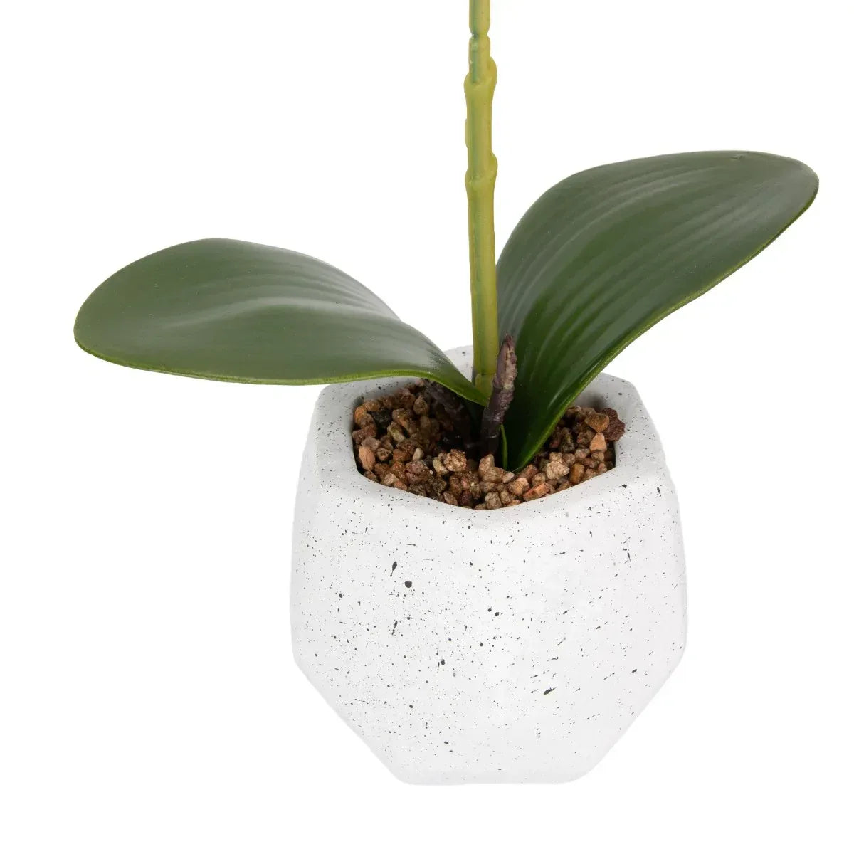 Orhidee cu aspect natural in ghiveci ceramic, 41 cm, Naimeed D6885, Portocaliu
