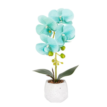 Orhidee cu aspect natural in ghiveci ceramic, 41 cm, Naimeed D6886, Turcoaz
