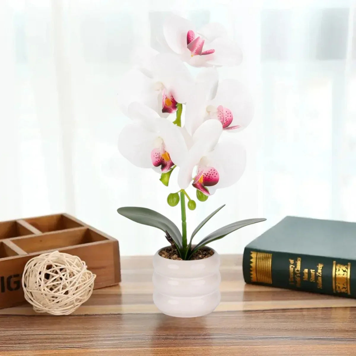 Orhidee cu aspect natural in ghiveci ceramic, 40 cm, Naimeed D6887, Alb