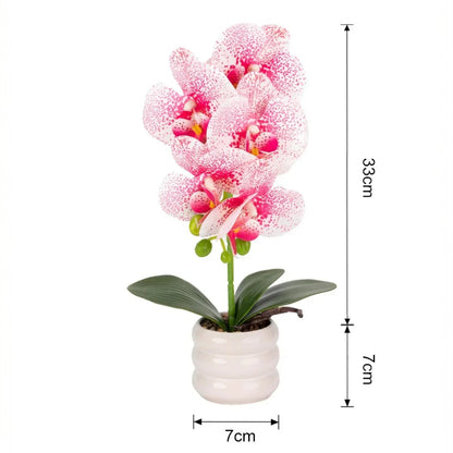 Orhidee cu aspect natural in ghiveci ceramic, 40 cm, Naimeed D6888, Alb-roz
