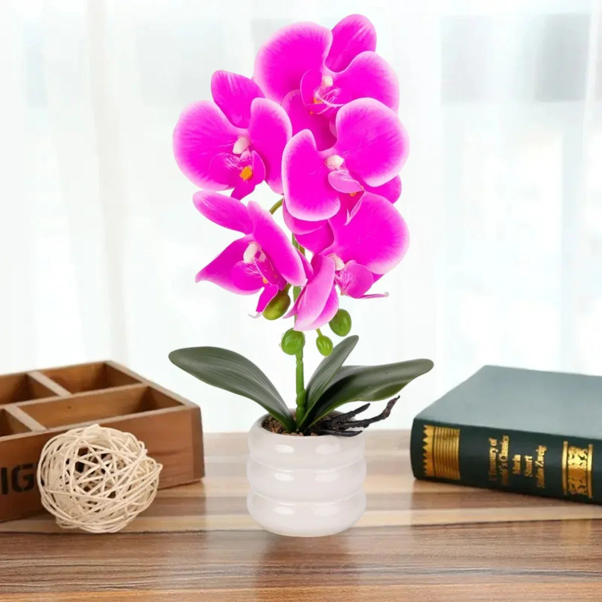 Orhidee cu aspect natural in ghiveci ceramic, 40 cm, Naimeed D6889, Fucsia