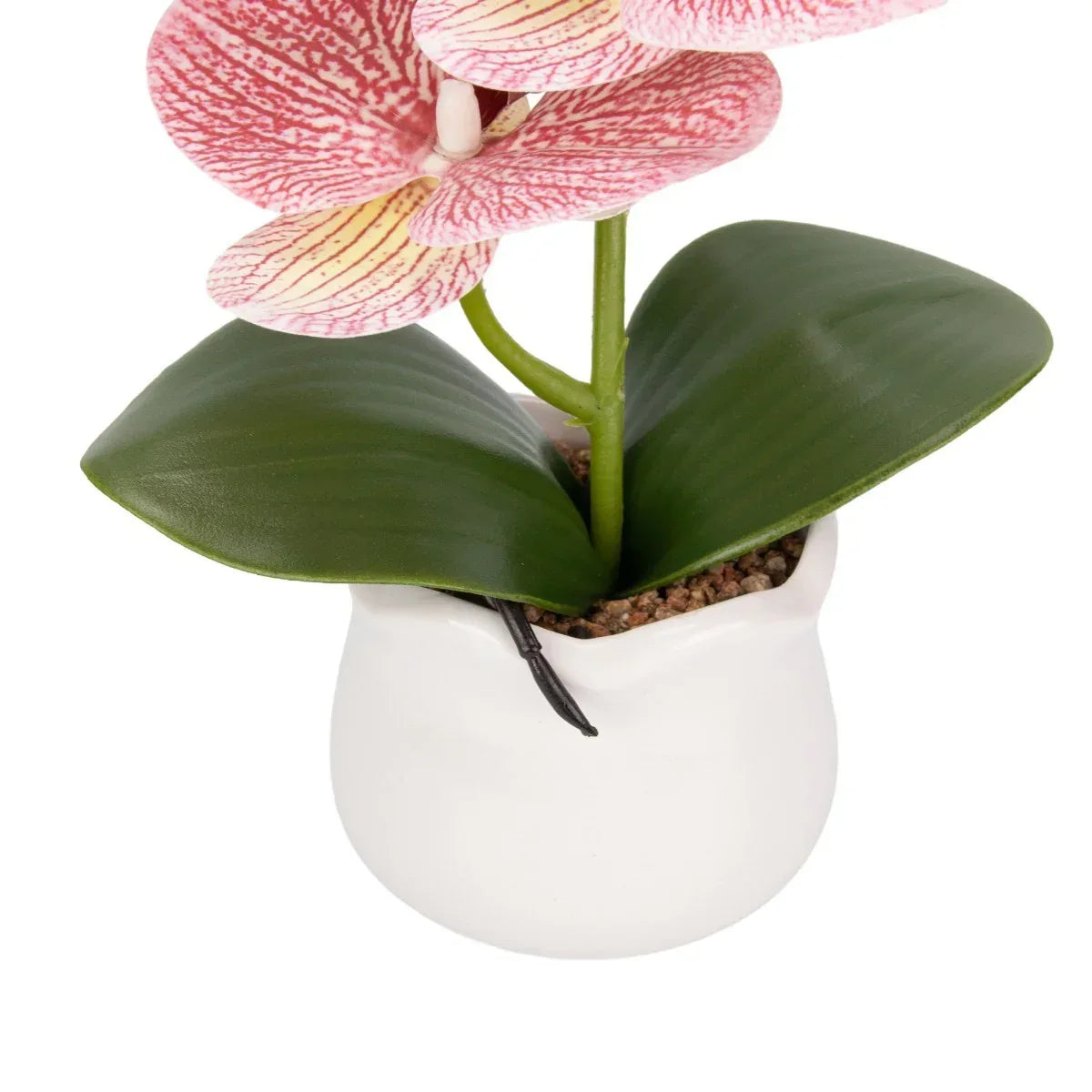 Orhidee cu aspect natural in ghiveci ceramic, 49 cm, Naimeed D6891, Roz