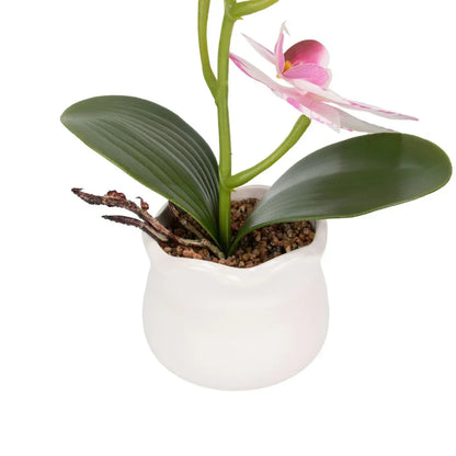 Orhidee cu aspect natural in ghiveci ceramic, 49 cm, Naimeed D6892, Alb-roz
