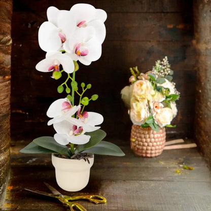 Orhidee cu aspect natural in ghiveci ceramic, 49 cm, Naimeed D6895, Alb