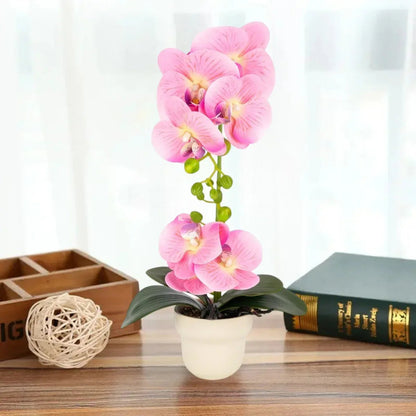 Orhidee cu aspect natural in ghiveci ceramic, 49 cm, Naimeed D6896, Roz