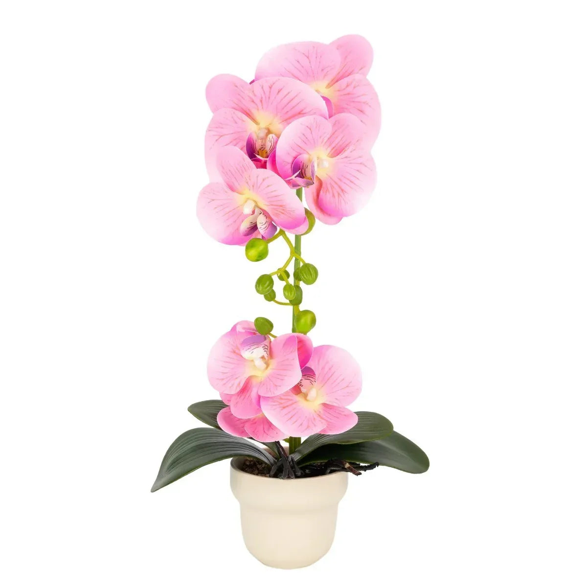 Orhidee cu aspect natural in ghiveci ceramic, 49 cm, Naimeed D6896, Roz