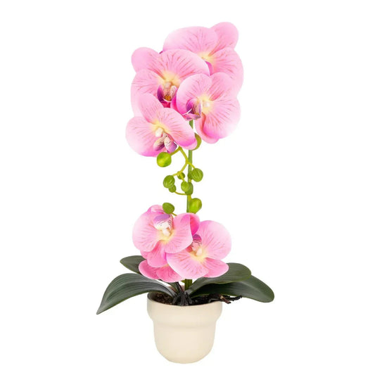 Orhidee cu aspect natural in ghiveci ceramic, 49 cm, Naimeed D6896, Roz