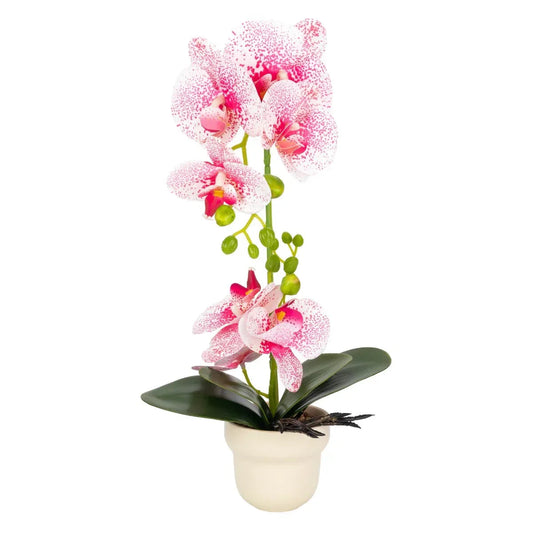 Orhidee cu aspect natural in ghiveci ceramic, 49 cm, Naimeed D6898, Roz/Alb