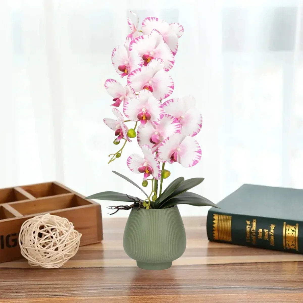 Orhidee cu aspect natural in ghiveci ceramic, 80 cm, Naimeed D6904, Roz/Verde