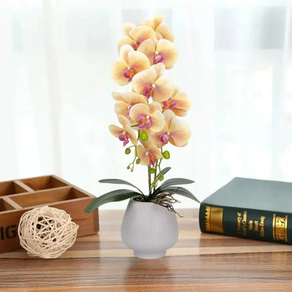 Orhidee cu aspect natural in ghiveci ceramic, 80 cm, Naimeed D6905, Portocaliu pal/Alb