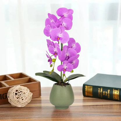 Orhidee cu aspect natural in ghiveci ceramic, 80 cm, Naimeed D6906, Mov/Verde