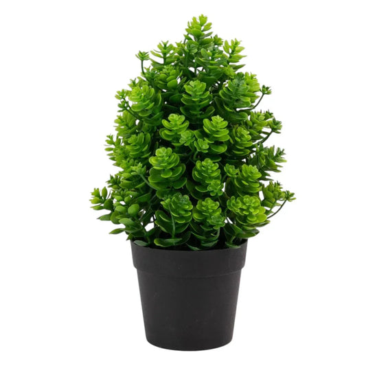 Planta artificiala, tip Kalanchoe, cu ghiveci, Naimeed D6922, 24x8.8 cm, Verde