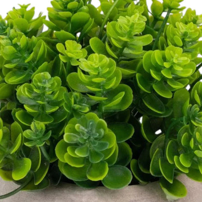 Planta artificiala, tip Kalanchoe, cu ghiveci de hartie, Naimeed D6935, 12x10 cm, Verde