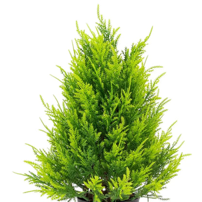 Planta artificiala, tip Thuja, cu ghiveci, Naimeed D6936, 31x10 cm, Verde