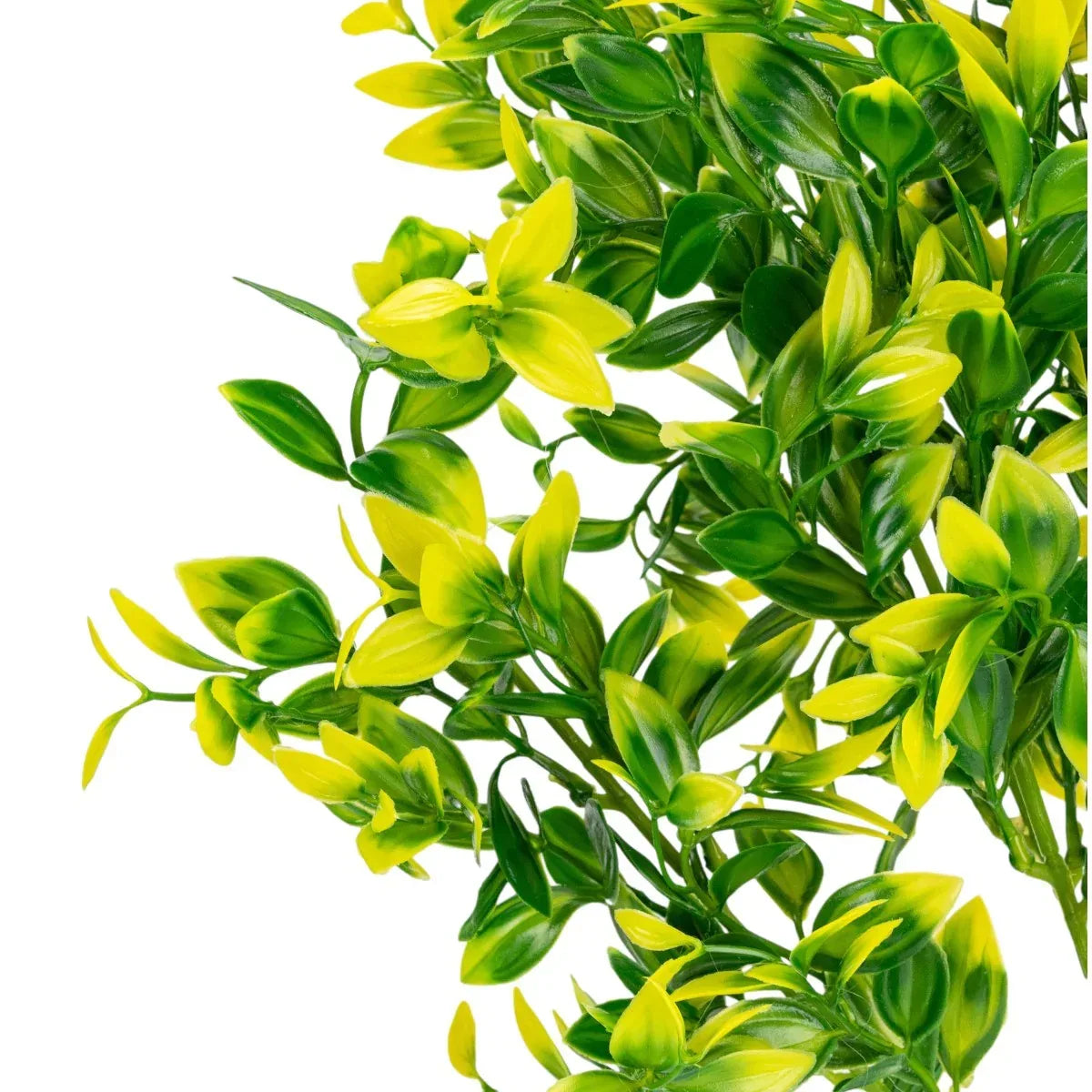 Planta decorativa artificiala, fara ghiveci, tip Buxus, Naimeed D6962, 80 cm, Galben