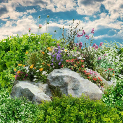 Planta decorativa artificiala, fara ghiveci, tip Buxus, Naimeed D6966, 80x40 cm, Alb/Verde