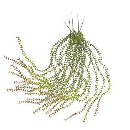 Set 5 plante artificiale curgatoare, 4 fire, lungime 100cm, Naimeed D7010, Rosu