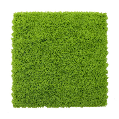 Panou din plante artificiale, Naimeed D7427, Verde, 50x50 cm