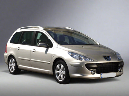 Stergatoare Peugeot 307 SW (2001–2008) TeamCar® Hybrid – Set fata