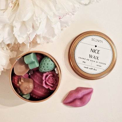 Nice Melts - Ceară Wax Melts