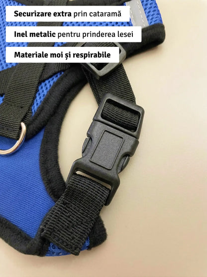 Set ham mesh respirabil pentru căței + lesă 1.5m, ajustare rapidă, albastru
