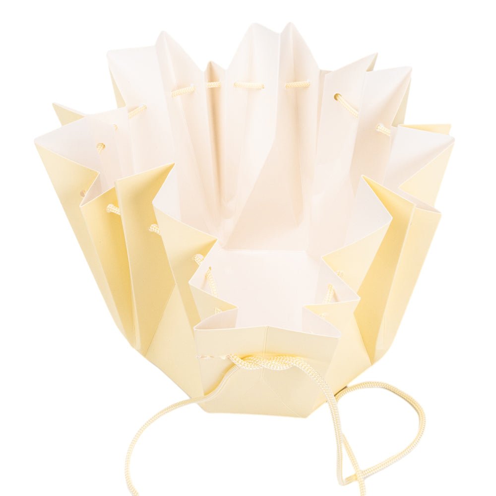 Cutie hârtie plisată cu interior rezistent la apă (set 10 buc)
