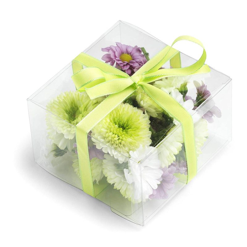 Cutii plastic - Transparente (set 50 buc)
