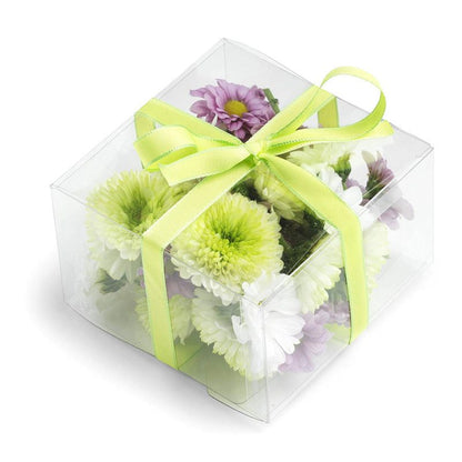 Cutii plastic - Transparente (set 50 buc)