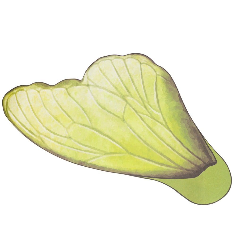 Foi de ambalat decorative model aripi de fluture - verde (set 10 buc)