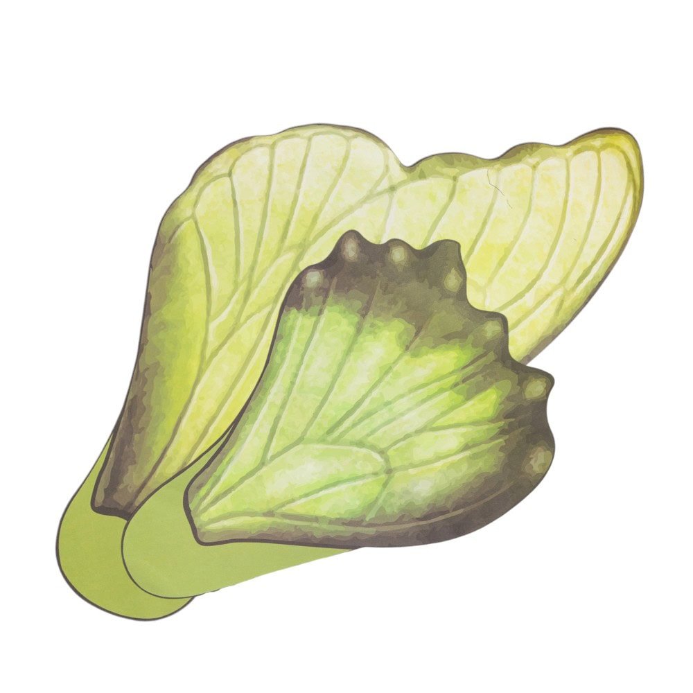 Foi de ambalat decorative model aripi de fluture - verde (set 10 buc)