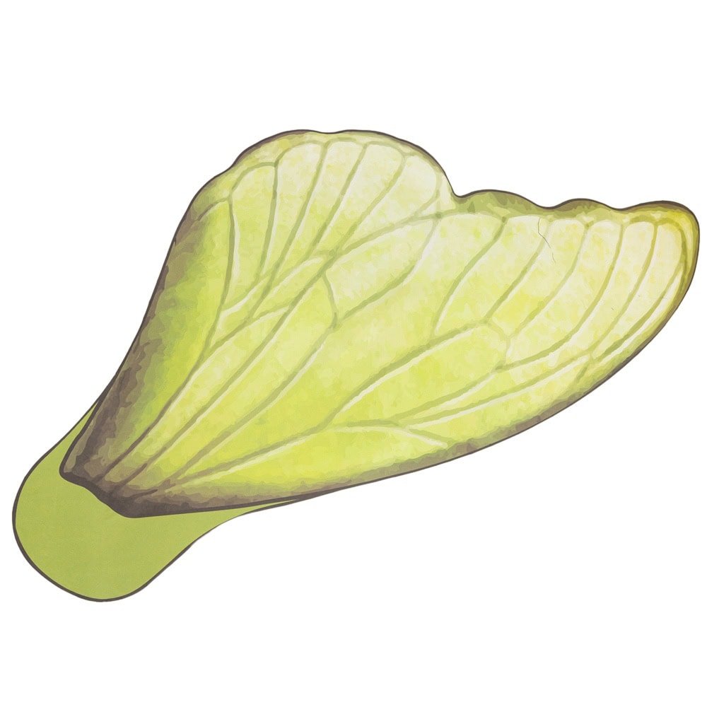 Foi de ambalat decorative model aripi de fluture - verde (set 10 buc)