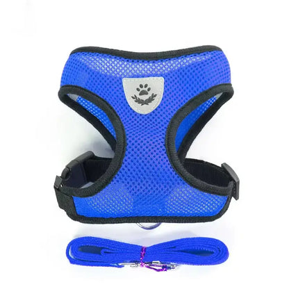 Set ham mesh respirabil pentru căței + lesă 1.5m, ajustare rapidă, albastru