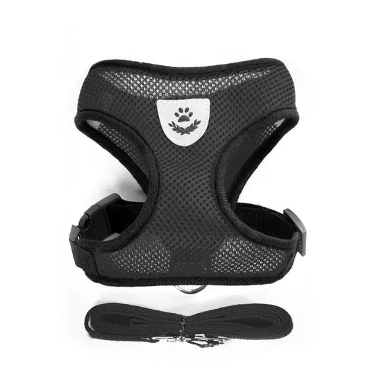 Set ham mesh respirabil pentru căței + lesă 1.5m, ajustare rapidă, negru