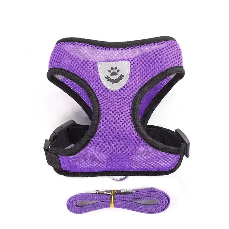 Set ham mesh respirabil pentru căței + lesă 1.5m, ajustare rapidă, mov